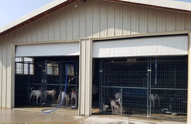 Kennel-0001 — our kennel facility