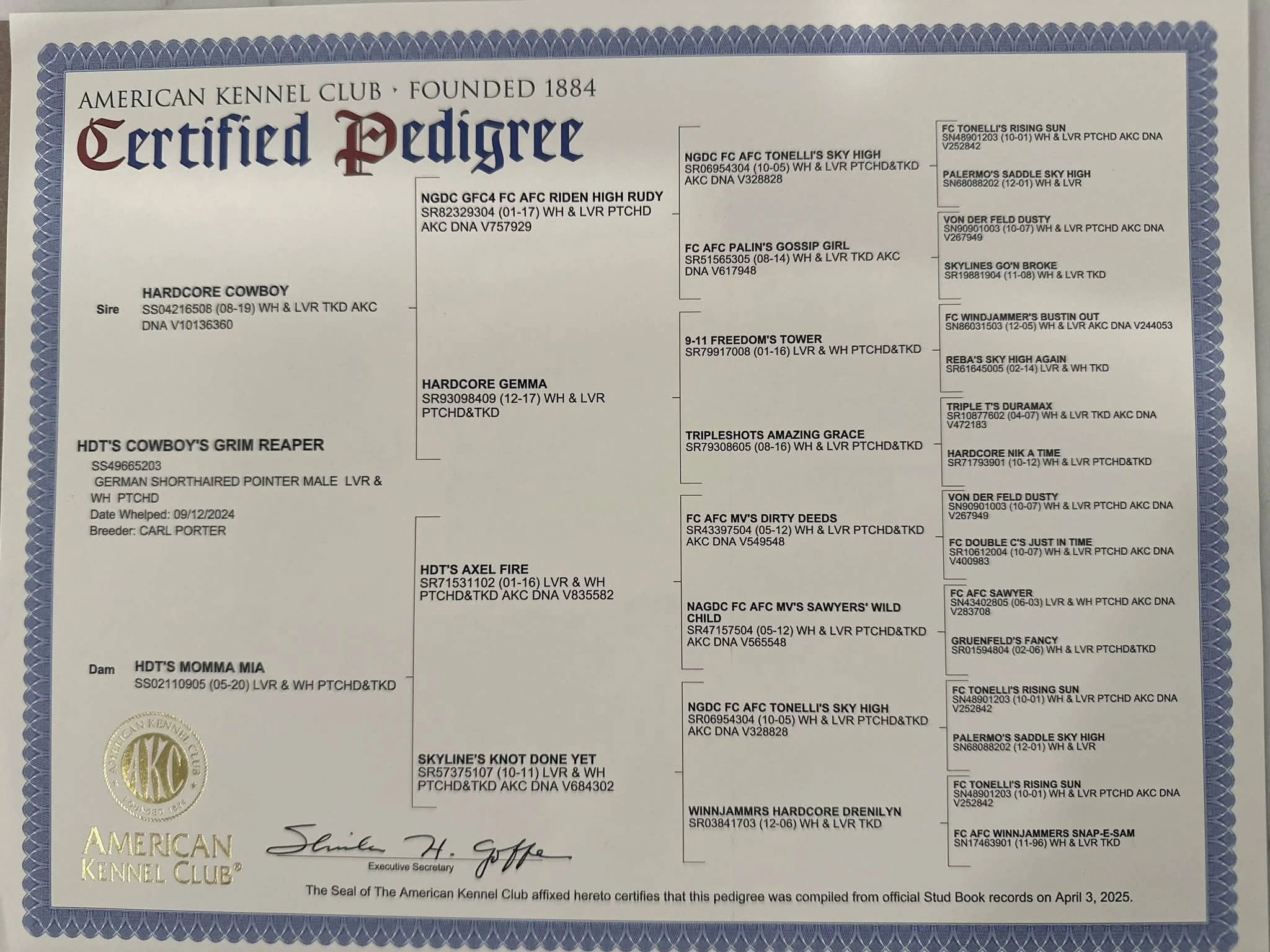 Partial certified pedigree chart for a dog