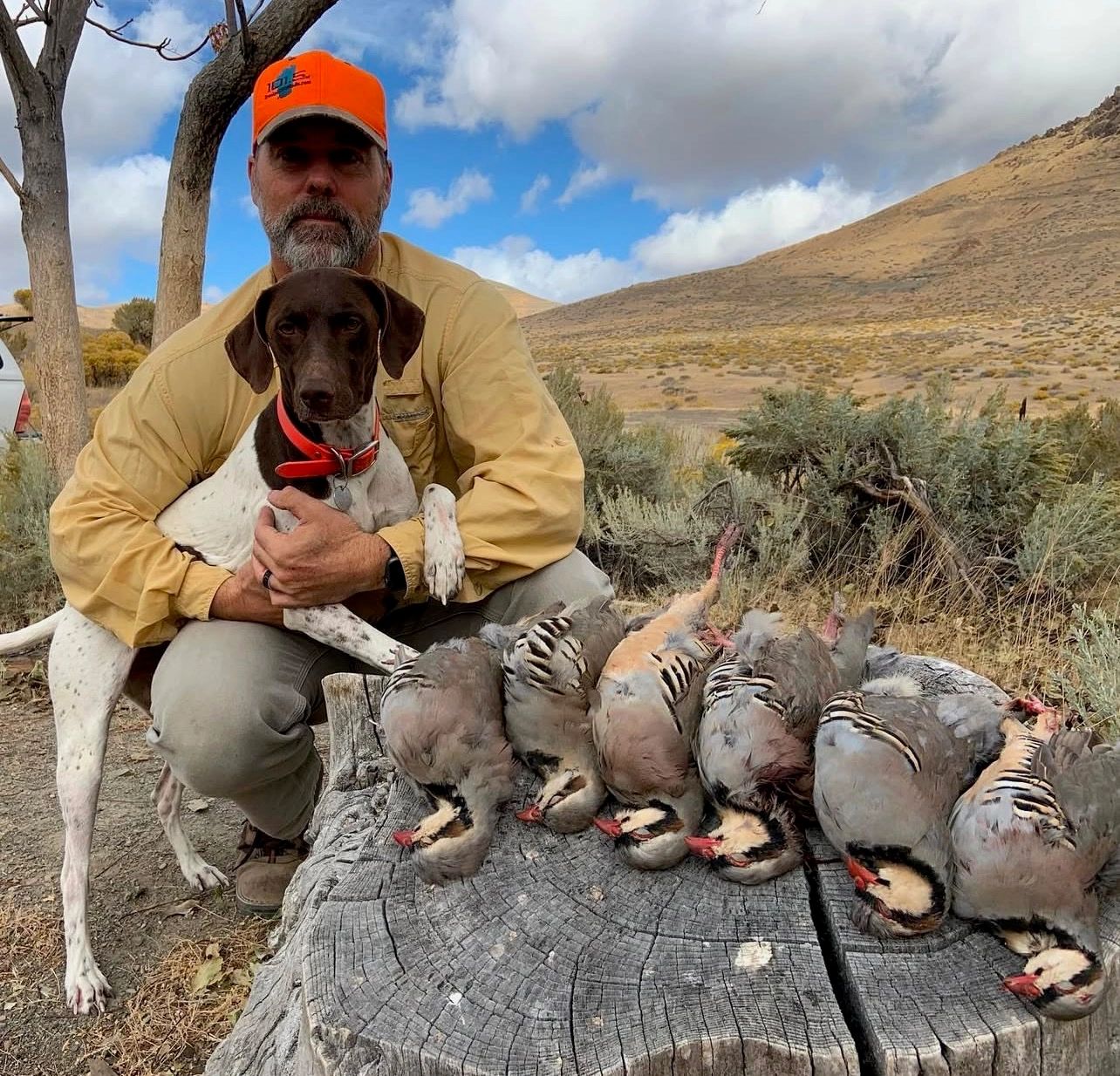 Man with hunting dog and game birds — Kona
