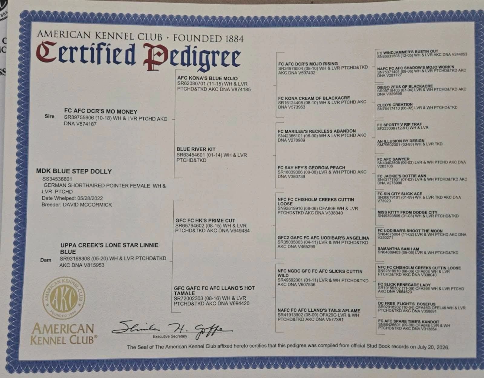 Certified pedigree document for a German Shorthaired Pointer