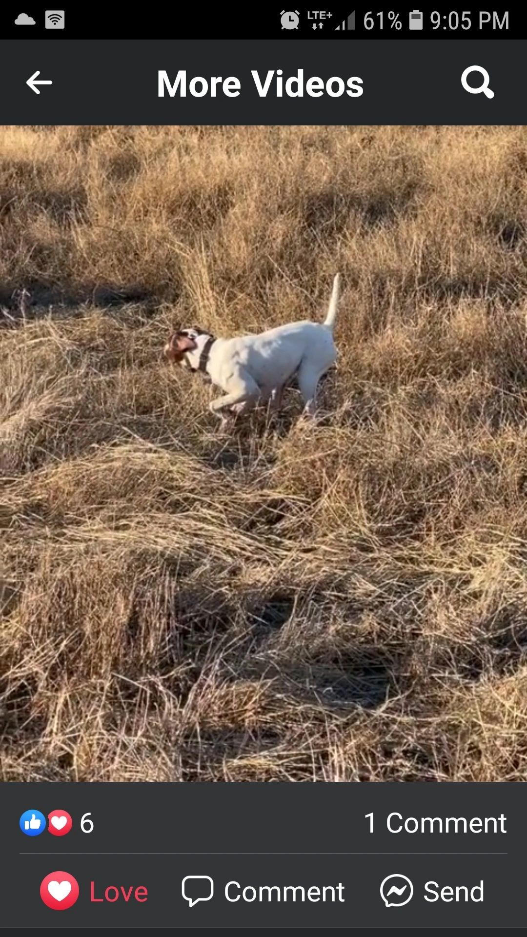More Videos