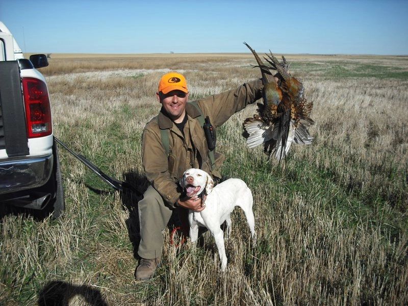 Hunter with GSP dog and harvested bird in prairie field